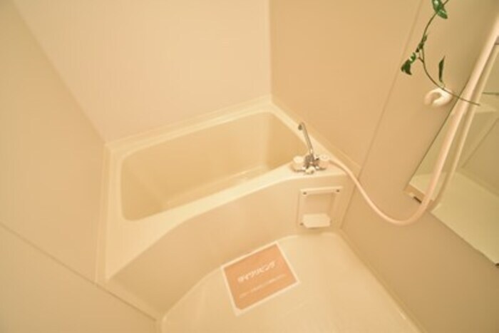  ホワイトウイング