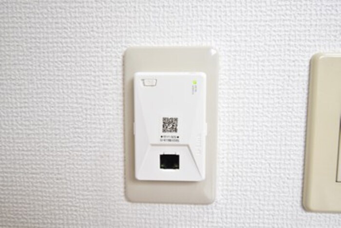  ホワイトウイング