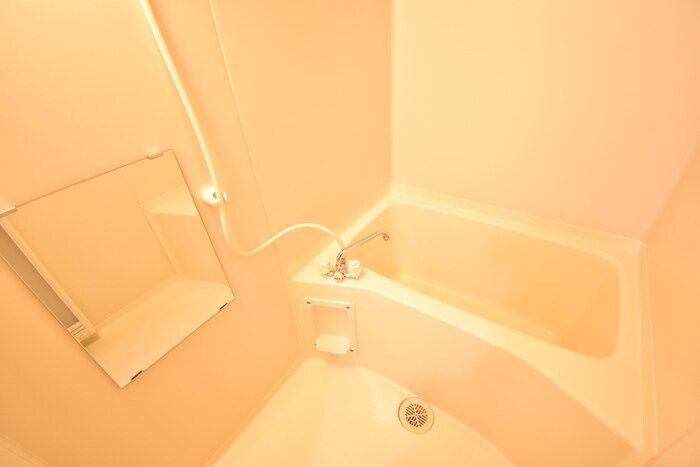  ホワイトウイング