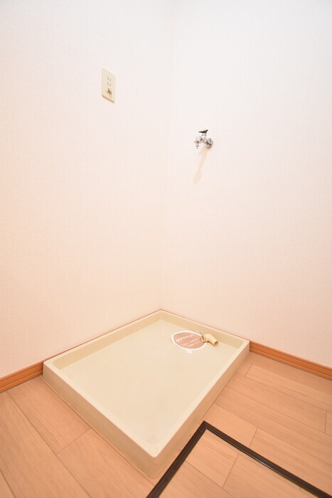  ホワイトウイング