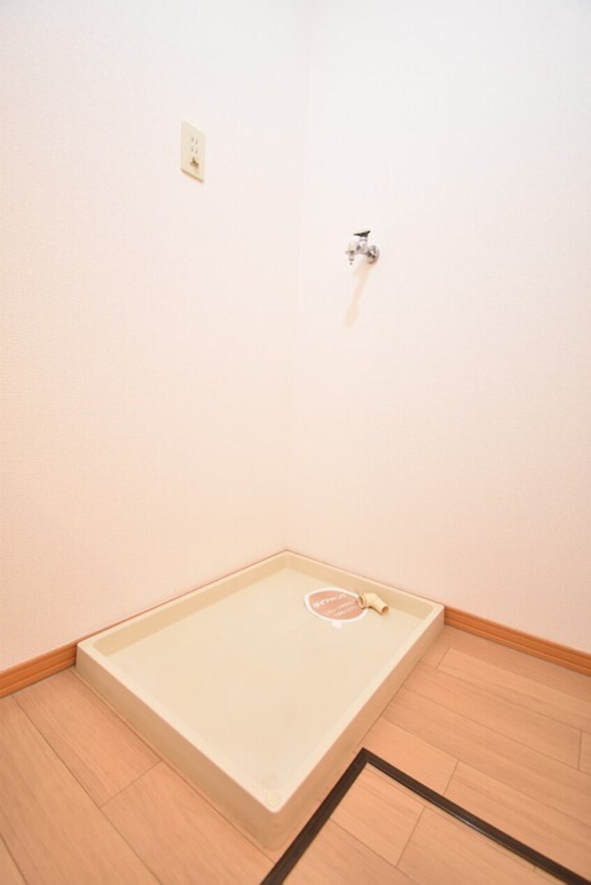  ホワイトウイング