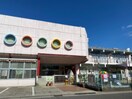 こぶし今里保育園(幼稚園/保育園)まで765m メゾン・エヌ