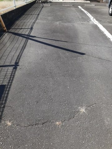  オーブリー栗熊