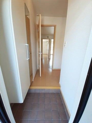  エレガンシア・ブローテⅡ