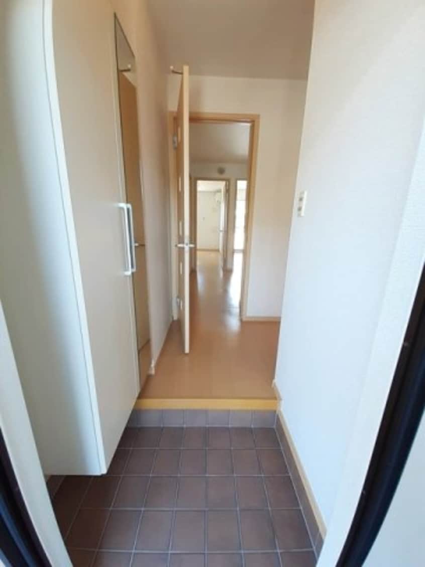  エレガンシア・ブローテⅡ