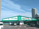 ザグザグイオンタウン宇多津店(ドラッグストア)まで447m ビブラン宇多津