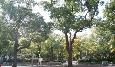 高松中央公園まで1000m グランソレイユ