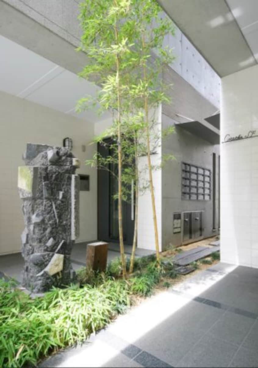  コリドールエスエフ