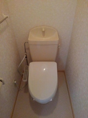  サンフラワー　Ｂ