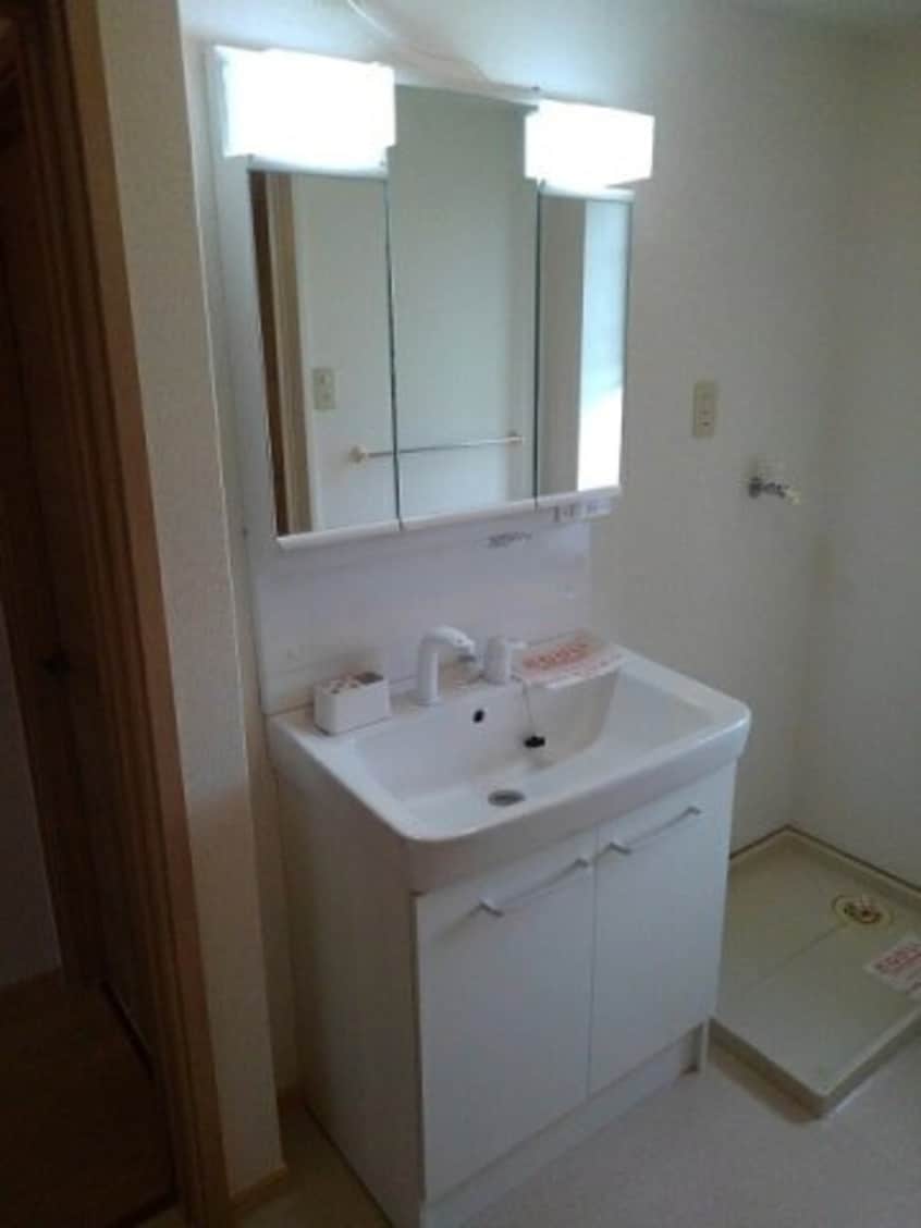  サンフラワー　Ｂ