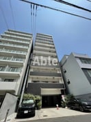 リンヒナーノh⁺の外観