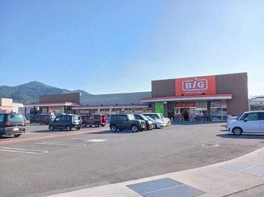 ザ・ビッグ国分寺店さんまで1200m フォレストパークＢ