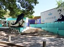 屋島水族館まで6485m ラフィーネ A