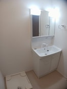 明るい洗面所です メゾン・ミクニⅠ　Ｂ