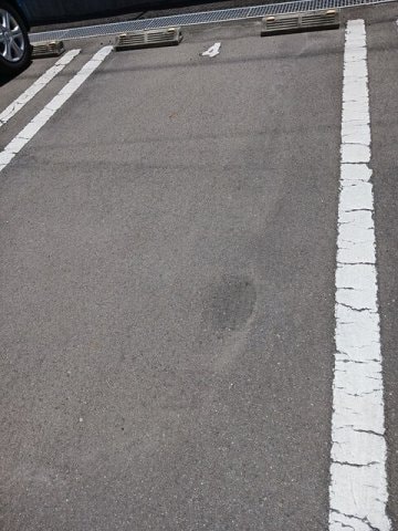 駐車場があります シャルールⅡ