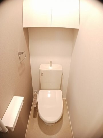 落ち着いた色調のトイレです ハイツ　ＨＡＹＡＳＨＩ　２