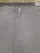  グリーン　ブリッサ