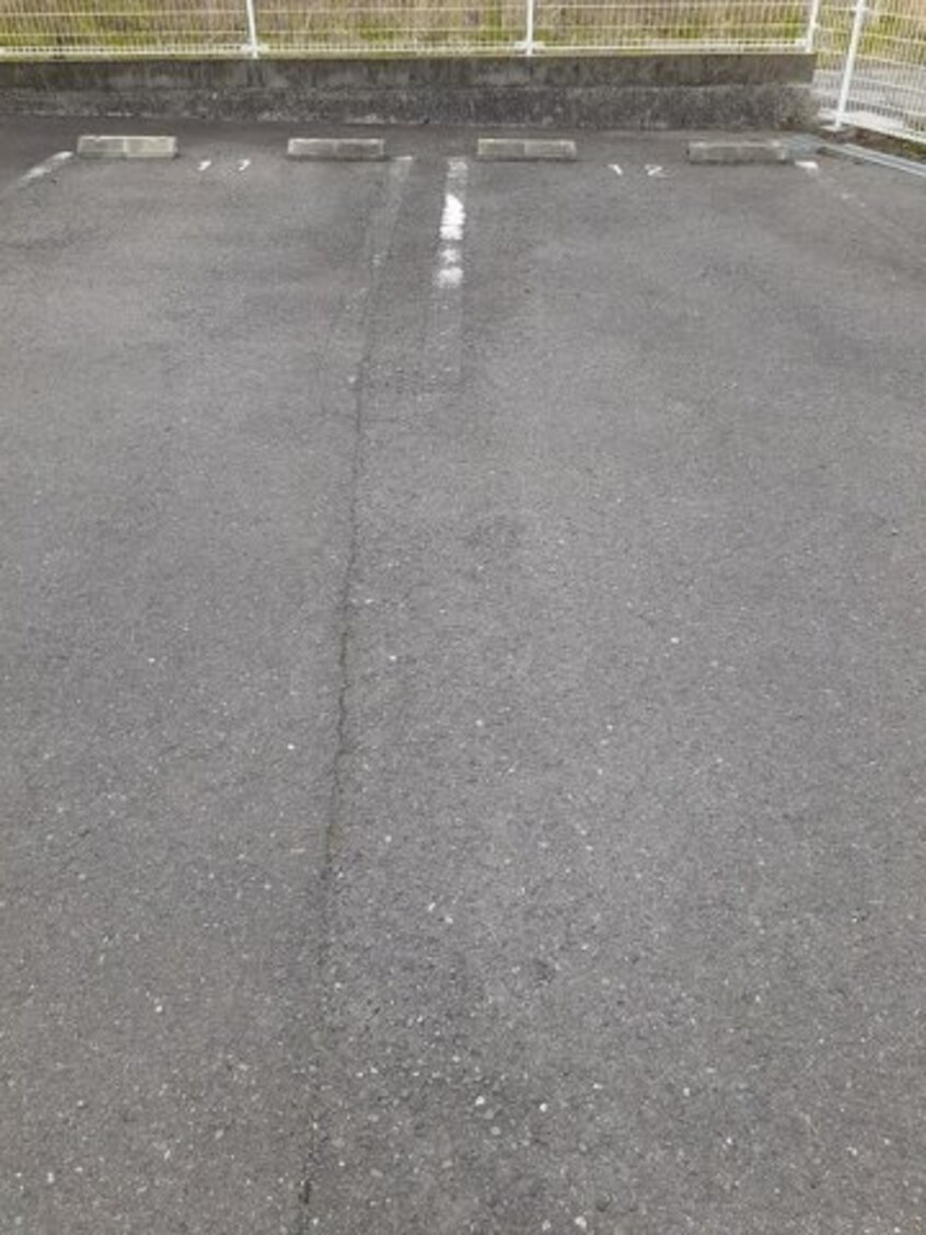  グリーン　ブリッサ