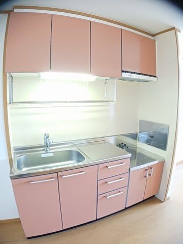 コンパクトなキッチンで掃除もラクラク セナ　アイランド　Ｂ