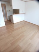  シャン・ミリューⅡＤ