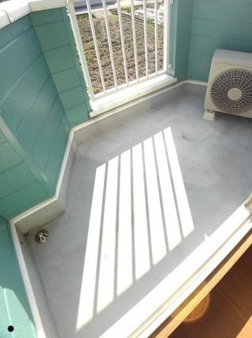  ネオ・フリーダム