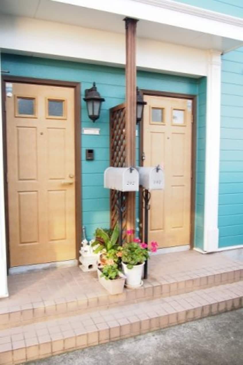  ネオ・フリーダム