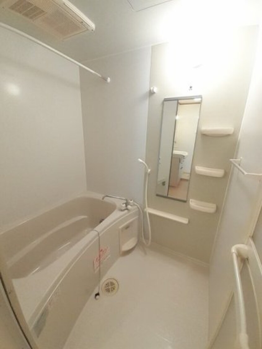  シェーンベルク土器Ｃ