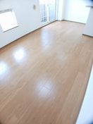 ゆったりとしたリビングです シャン・ミリュー　ⅠＢ