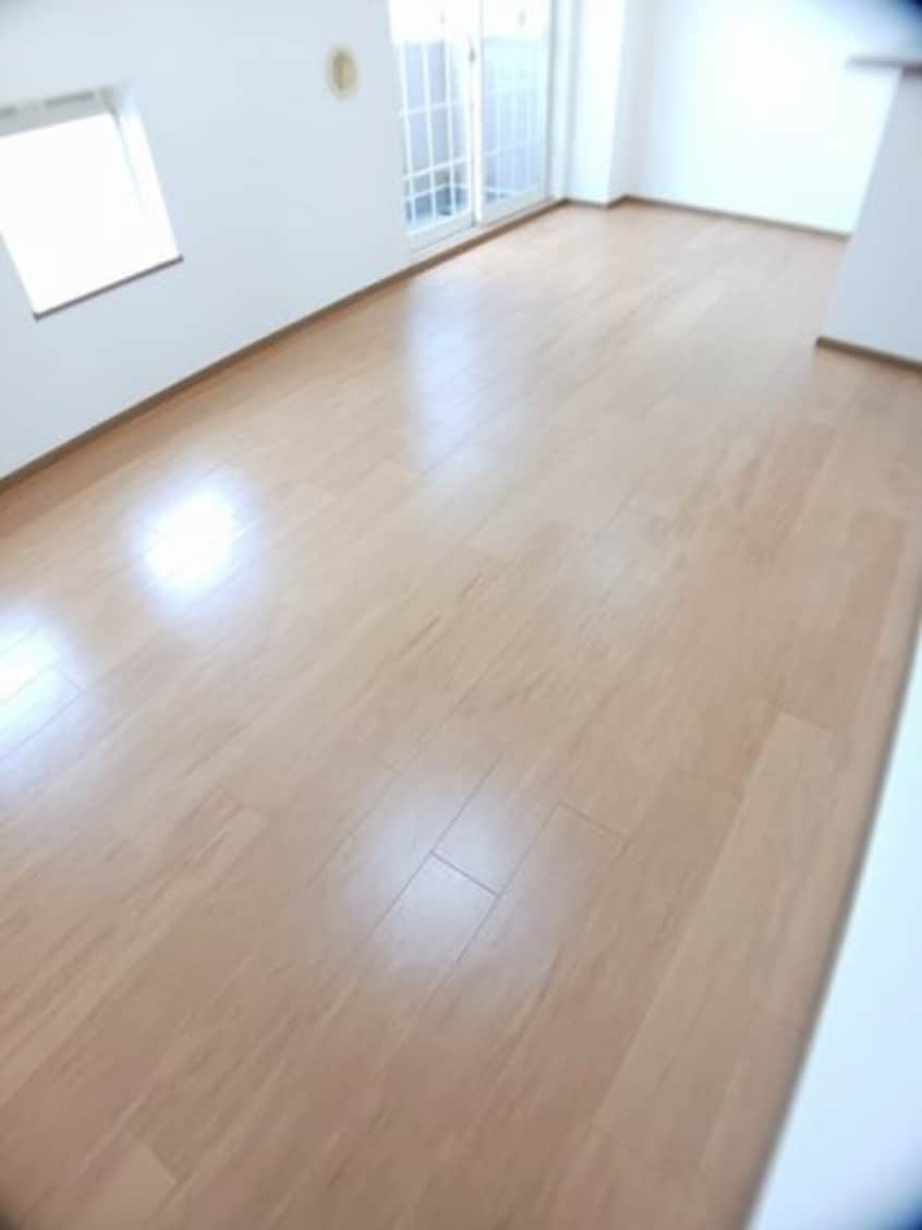 ゆったりとしたリビングです シャン・ミリュー　ⅠＢ