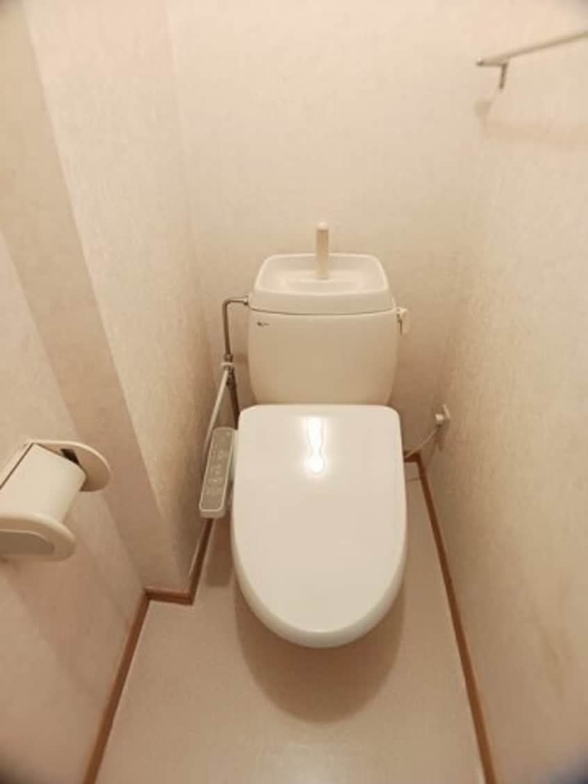 シンプルで使いやすいトイレです ニューエルディム大樹　Ａ