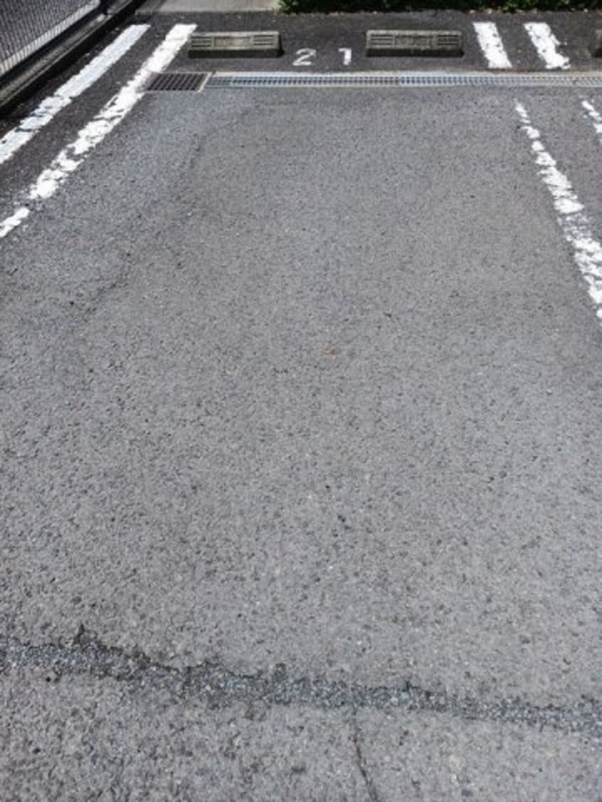 駐車場があるので、車を買う予定の方も安心です パレス　ニュールミネ　Ｄ