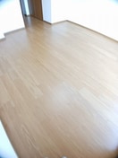 内装も気になるポイント パレス　ニュールミネ　Ｄ