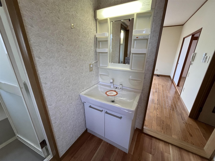 洗面化粧台 新井田野田貸家