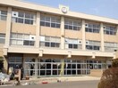 五戸中学校(中学校/中等教育学校)まで2600m セジュールKARUNI　C