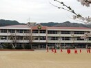 久慈中学校(中学校/中等教育学校)まで1172m コーポ中の橋