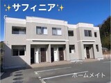サフィニア