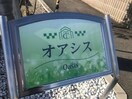  オアシス