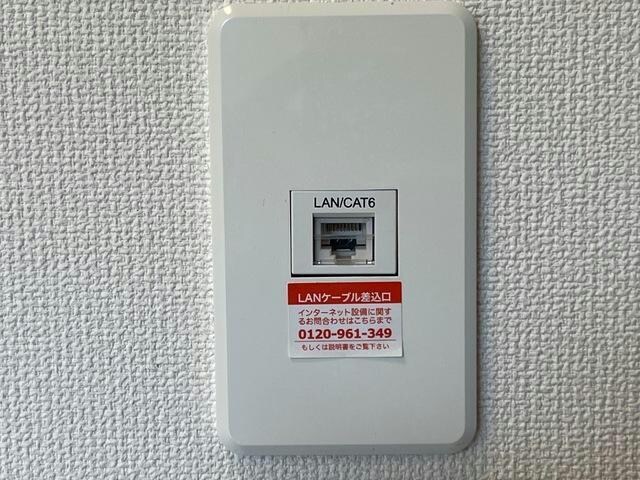  オアシス