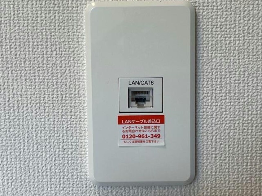  オアシス