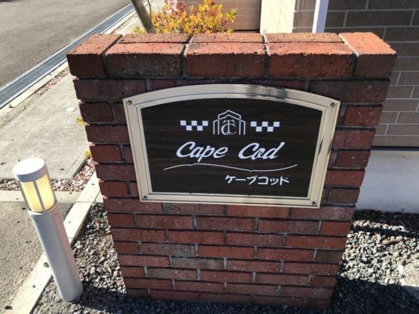  Cape Cod　(ケープコッド)
