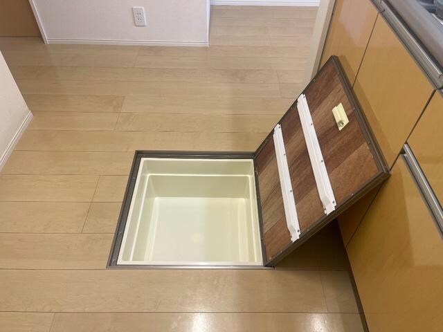  Cape Cod　(ケープコッド)