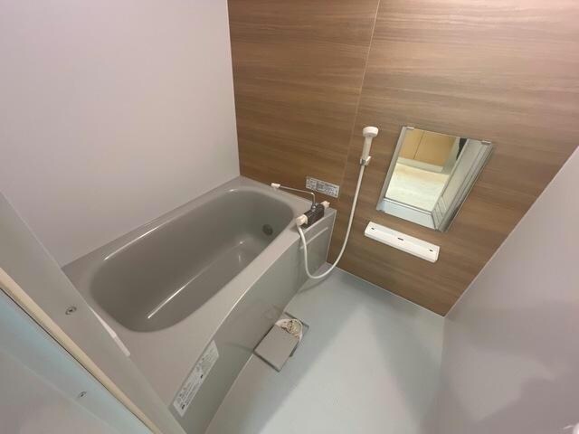  Cape Cod　(ケープコッド)