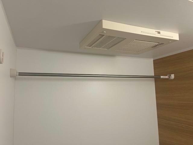  Cape Cod　(ケープコッド)