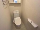イメージ写真 ステイゴールドⅡ