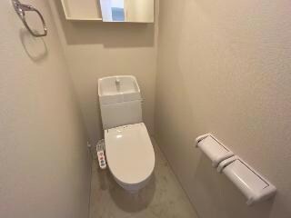 イメージ写真 ステイゴールドⅡ