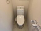 イメージ写真 ステイゴールドⅡ