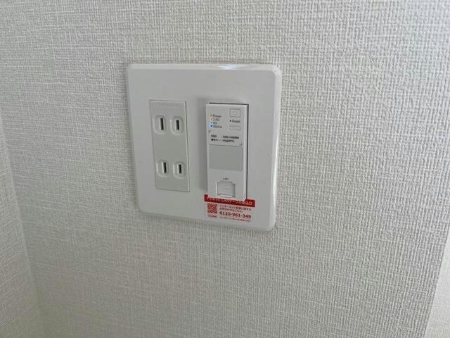 イメージ写真 ステイゴールドⅡ
