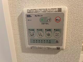 イメージ写真 ステイゴールドⅡ