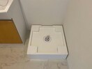 イメージ写真 ステイゴールドⅡ