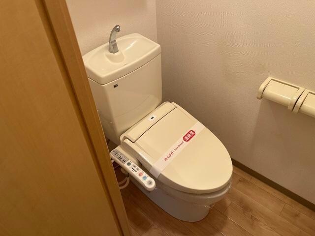  モア・ヴィーナス